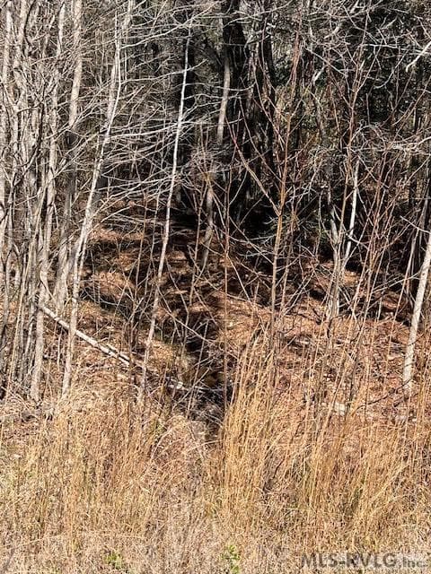 Acreage,Unimproved Land at 000 Greentown Drive, Lawrenceville VA 23868, Lawrenceville, photo 18 of 18