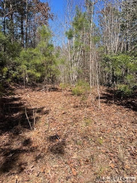 Acreage,Unimproved Land at 000 Greentown Drive, Lawrenceville VA 23868, Lawrenceville, photo 15 of 18