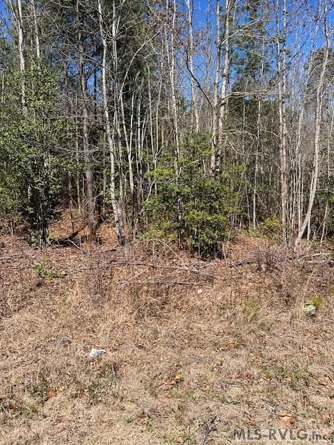 Acreage,Unimproved Land at 000 Greentown Drive, Lawrenceville VA 23868, Lawrenceville, photo 11 of 18