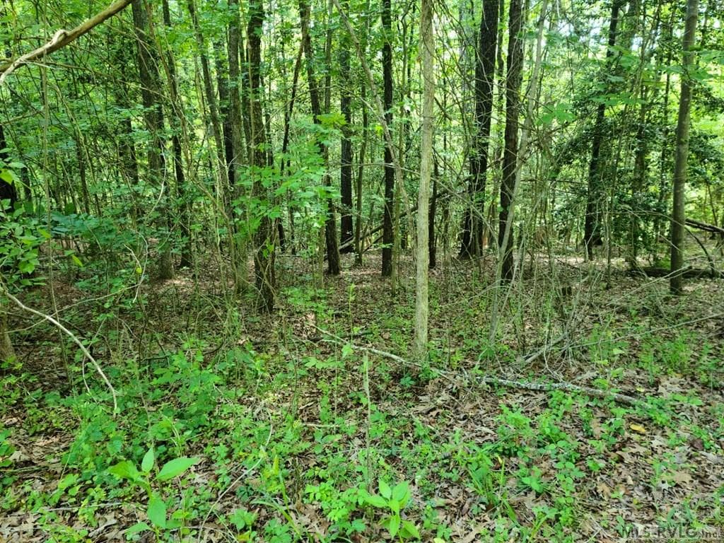 Residential Lot-Restricted,Unimproved Land at Lot 60 Windward Passage, Bracey VA 23919, Bracey, photo 5 of 11
