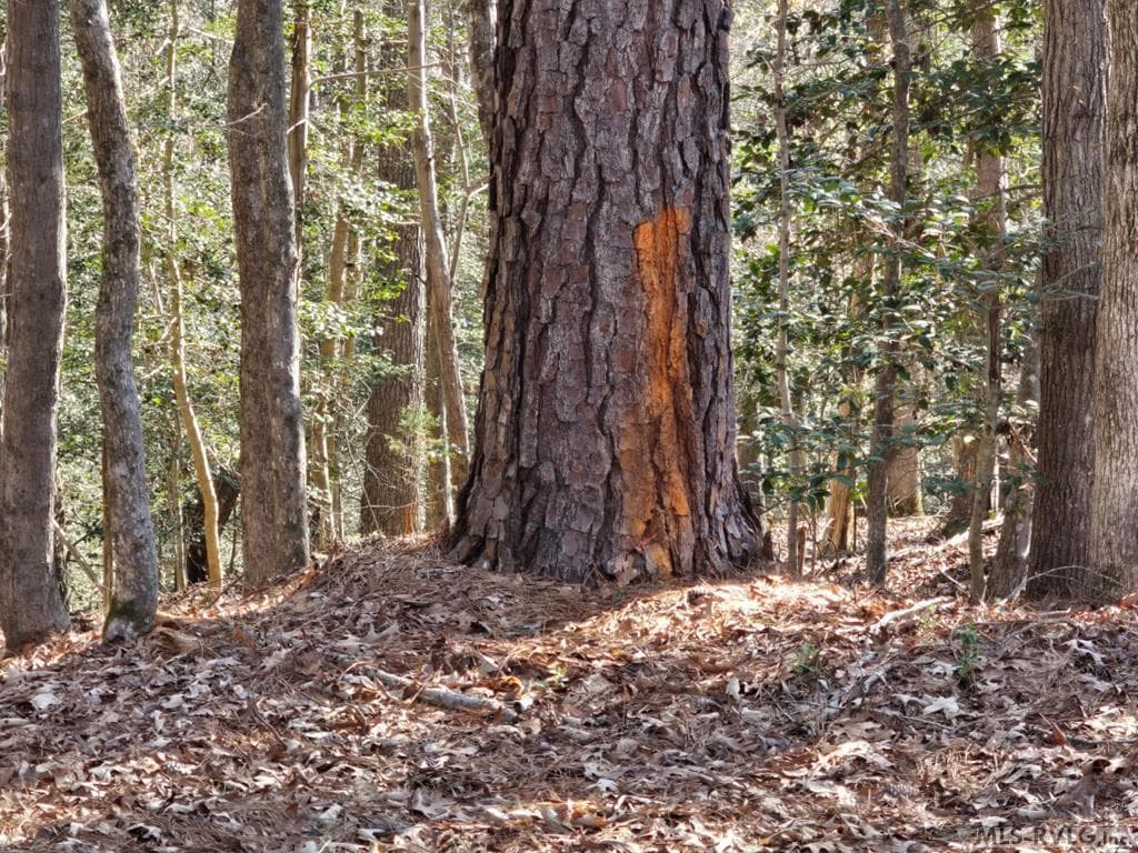 Residential Lot-Restricted,Unimproved Land at Lot 60 Windward Passage, Bracey VA 23919, Bracey, photo 8 of 11