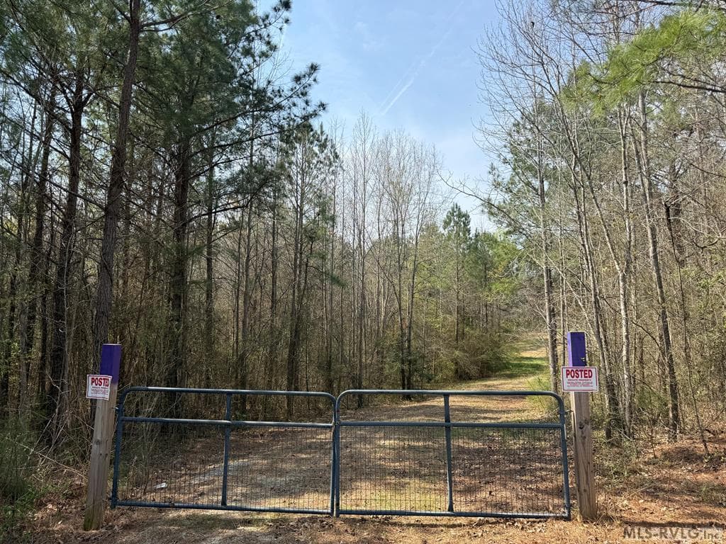 1280 Schloss Rd, Louisburg NC 27549 photo 7