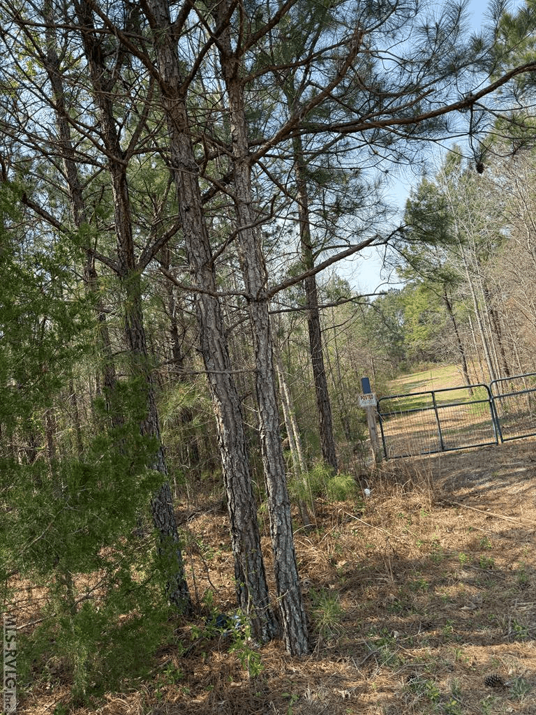 1280 Schloss Rd, Louisburg NC 27549 photo 5