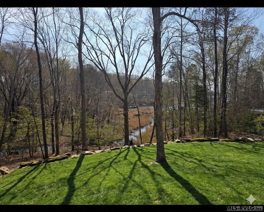 128 Portside, Bracey VA 23919 photo 2