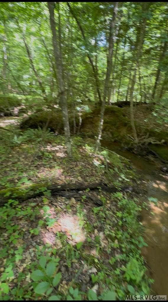 Lot 52 S Holiday Drive, Macon NC 27551 photo 2