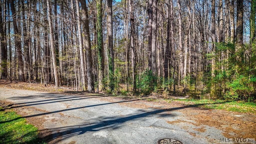 Acreage,Other-See Remarks,Unimproved Land at 000 Union St, Lawrenceville VA 23868, Lawrenceville, photo 2 of 12