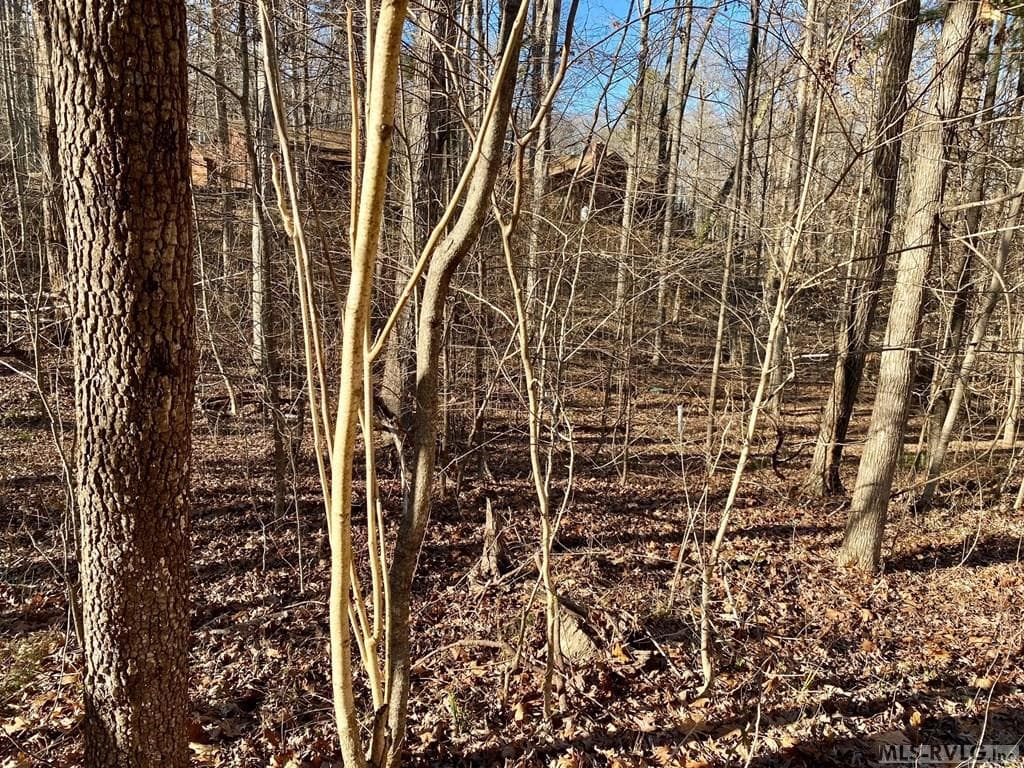 Residential Lot-Restricted,Unimproved Land at Lot 45 Buffalo Drive, Buffalo Junction VA 24529, Buffalo Junction, photo 7 of 21