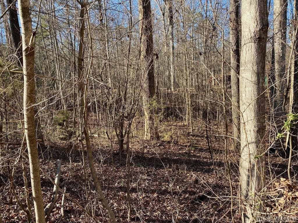 Residential Lot-Restricted,Unimproved Land at Lot 45 Buffalo Drive, Buffalo Junction VA 24529, Buffalo Junction, photo 4 of 21