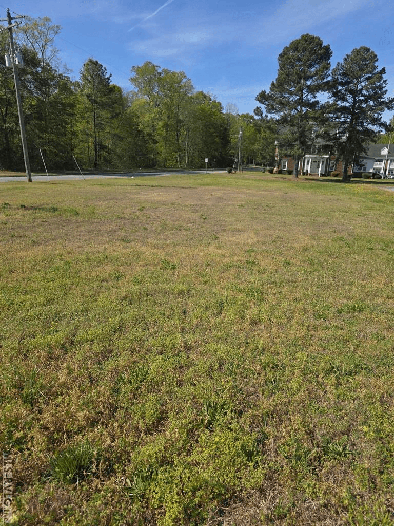 Lot #2 Georgia Ave, Roanoke Rapids NC 27870 photo 2