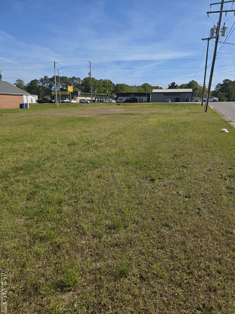 Lot #2 Georgia Ave, Roanoke Rapids NC 27870 photo 4