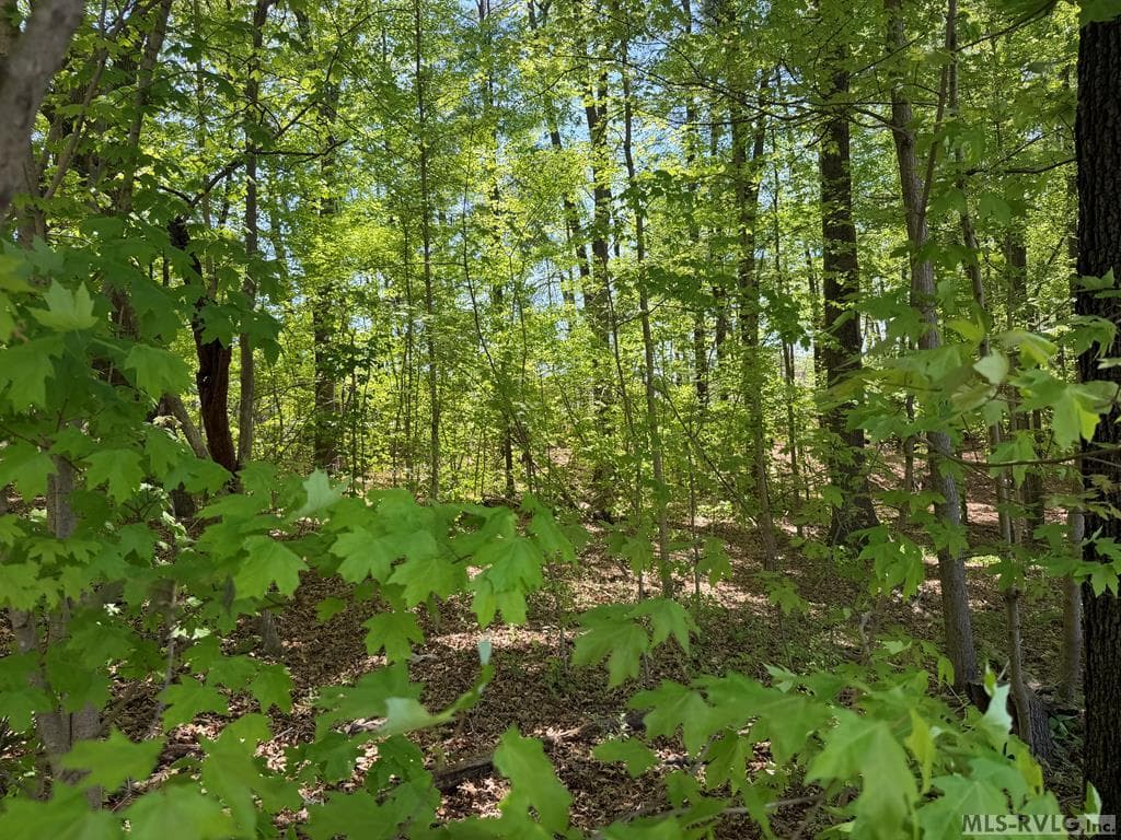 Residential Lot-Unrestricted,Unimproved Land at 00 S West Ave, Blackstone VA 23824, Blackstone, photo 2 of 7