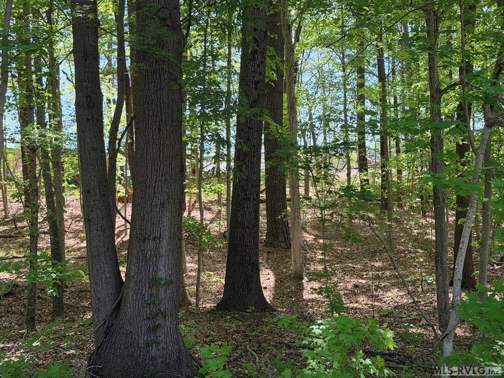 Residential Lot-Unrestricted,Unimproved Land at 00 S West Ave, Blackstone VA 23824, Blackstone, photo 6 of 7