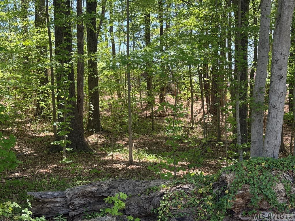 Residential Lot-Unrestricted,Unimproved Land at 00 S West Ave, Blackstone VA 23824, Blackstone, photo 7 of 7