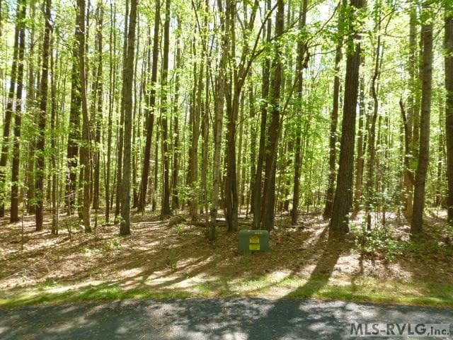 91&92 Heron Court, Macon NC 27551 photo 2