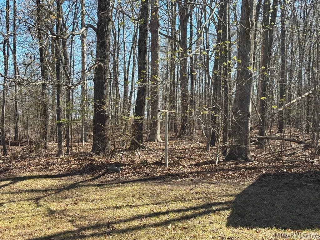 215 Lakeview Drive, Roanoke Rapids NC 27870 photo 43