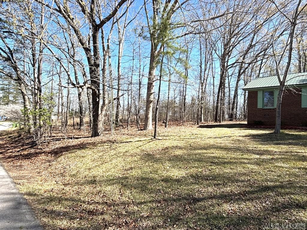 215 Lakeview Drive, Roanoke Rapids NC 27870 photo 44