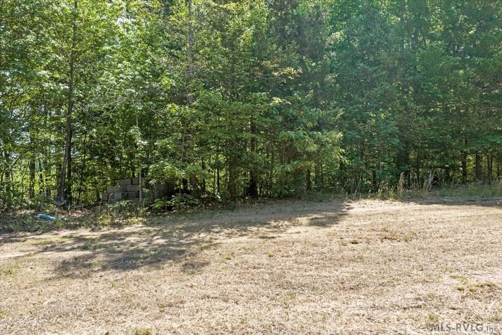 112 Poplar Creek Road, Bracey VA 23919 photo 10