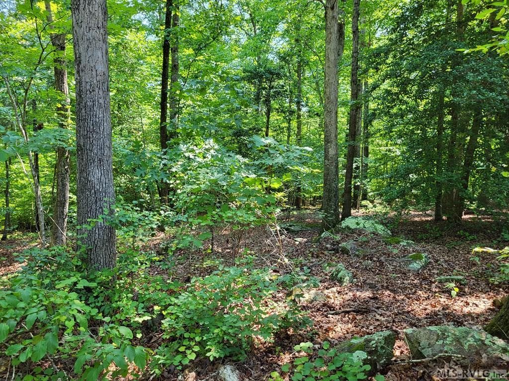 Residential Lot-Restricted,Unimproved Land at 0 Weanock Lane, Ebony VA 23845, Ebony, photo 2 of 9
