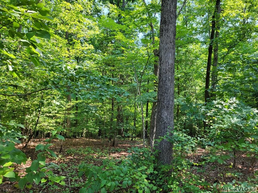 Residential Lot-Restricted,Unimproved Land at 0 Weanock Lane, Ebony VA 23845, Ebony, photo 6 of 9