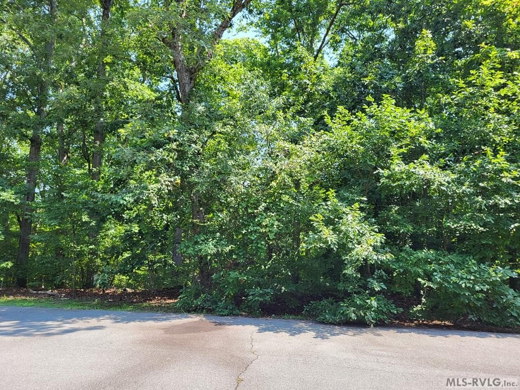 Residential Lot-Restricted,Unimproved Land at 0 Weanock Lane, Ebony VA 23845, Ebony, photo 7 of 9