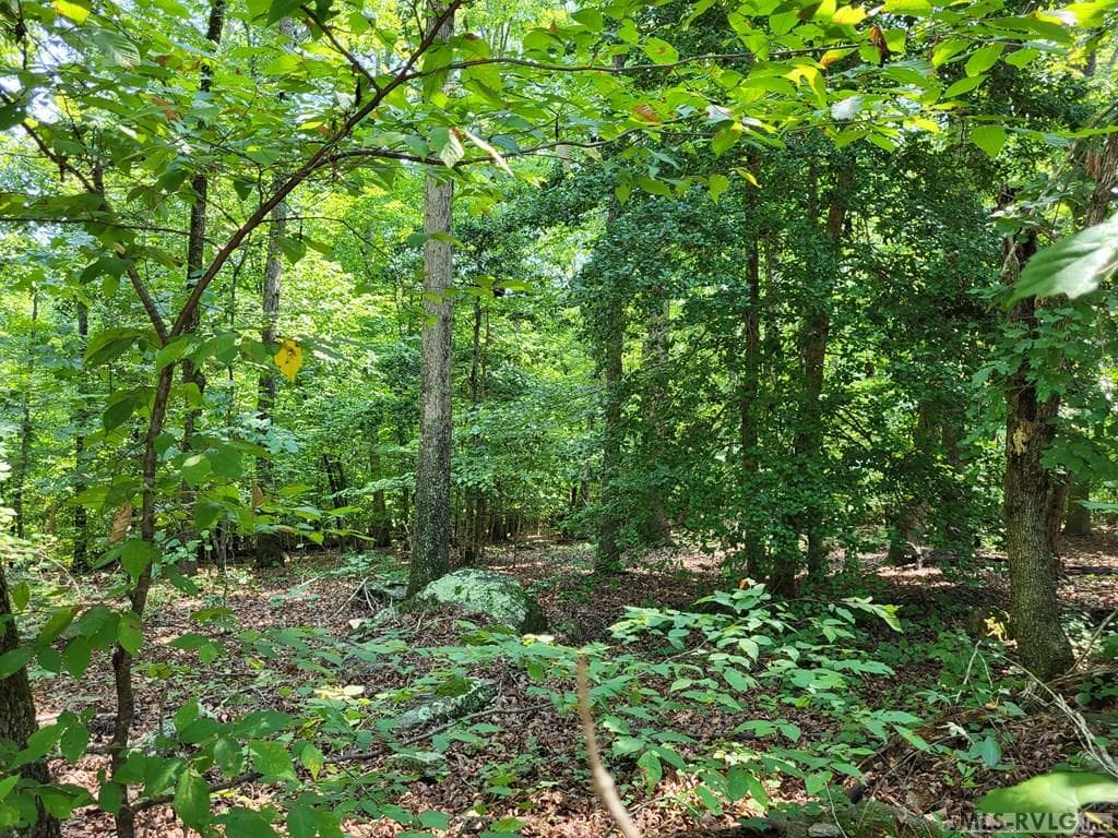 Residential Lot-Restricted,Unimproved Land at 0 Weanock Lane, Ebony VA 23845, Ebony, photo 3 of 9