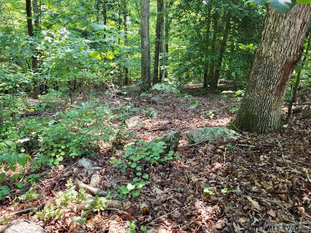 0 Weanock Lane, Ebony VA 23845