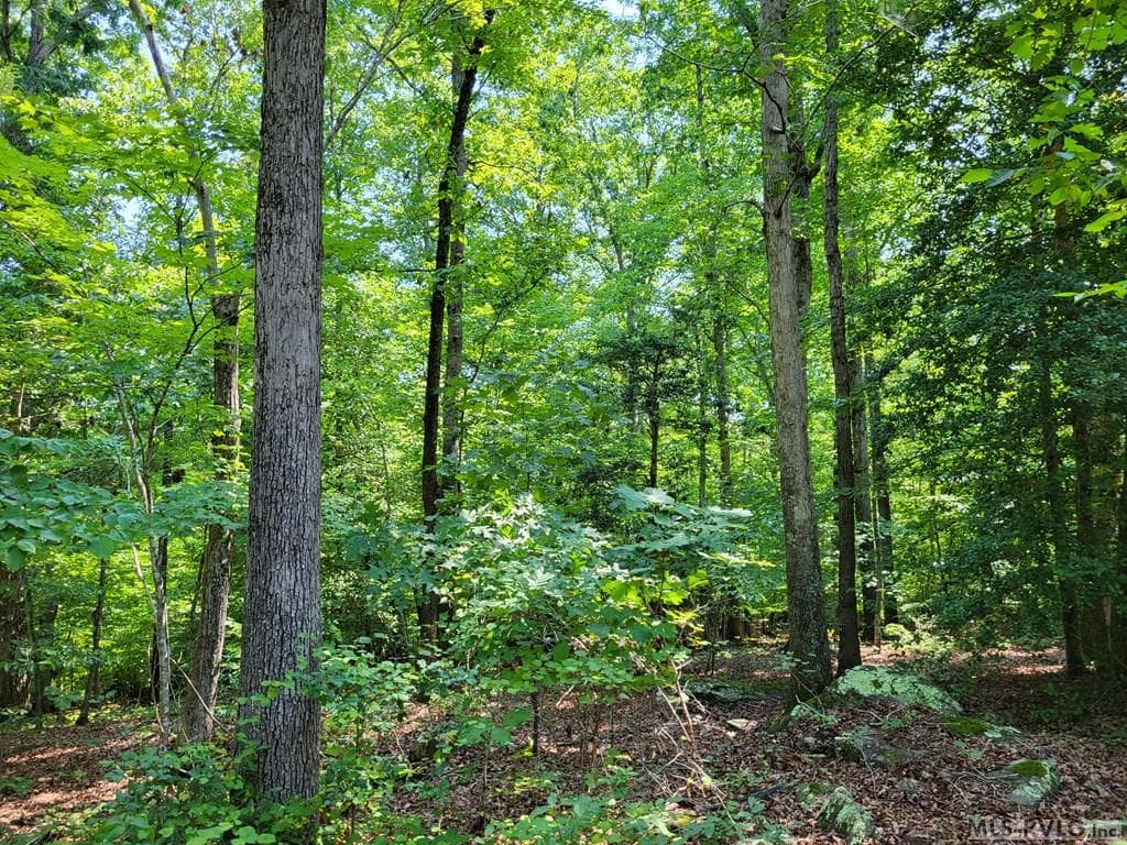 Residential Lot-Restricted,Unimproved Land at 0 Weanock Lane, Ebony VA 23845, Ebony, photo 5 of 9