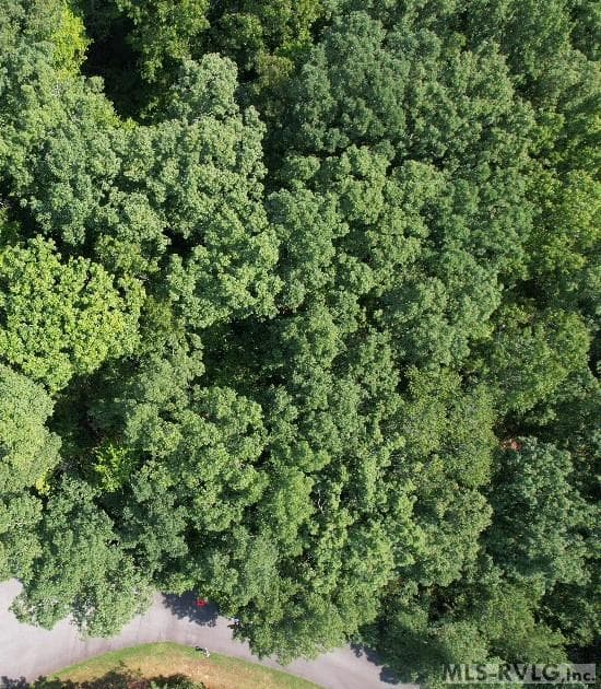 Residential Lot-Restricted,Unimproved Land at 0 Weanock Lane, Ebony VA 23845, Ebony, photo 9 of 9