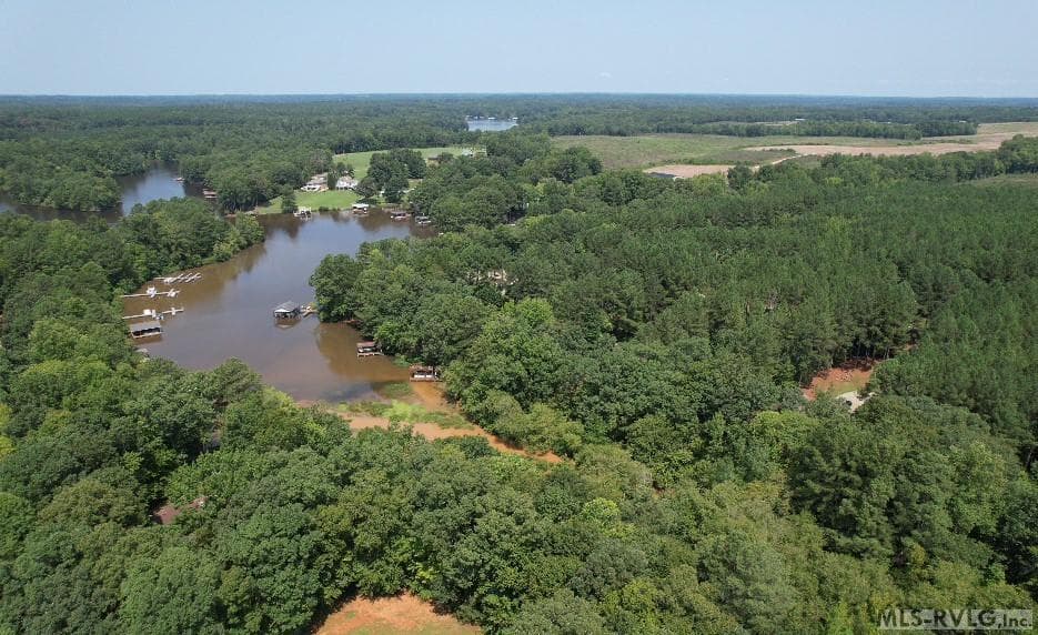 Residential Lot-Restricted,Unimproved Land at 0 Weanock Lane, Ebony VA 23845, Ebony, photo 8 of 9