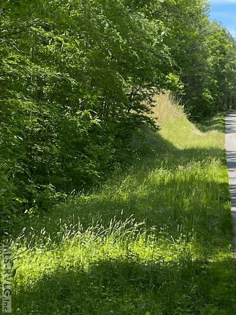 Acreage,Unimproved Land at 000 Belfield Rd, Freeman VA 23856, Freeman, photo 7 of 9