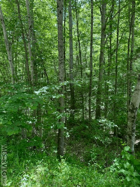 Acreage,Unimproved Land at 000 Belfield Rd, Freeman VA 23856, Freeman, photo 5 of 9