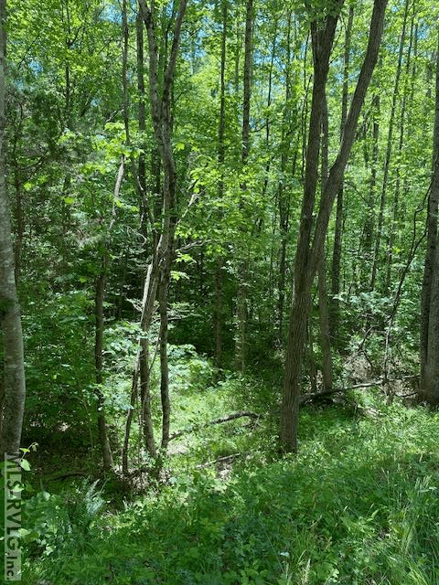 Acreage,Unimproved Land at 000 Belfield Rd, Freeman VA 23856, Freeman, photo 4 of 9