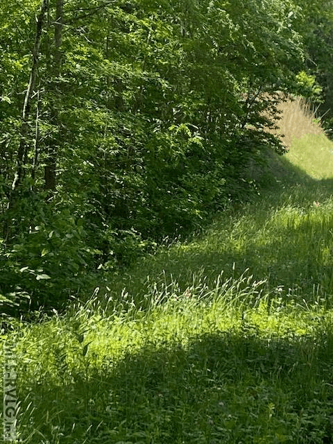 Acreage,Unimproved Land at 000 Belfield Rd, Freeman VA 23856, Freeman, photo 8 of 9