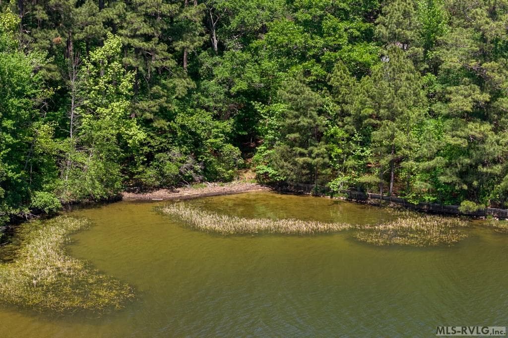 Lot #5 Fernwood Dr, Littleton NC 27850 photo 4