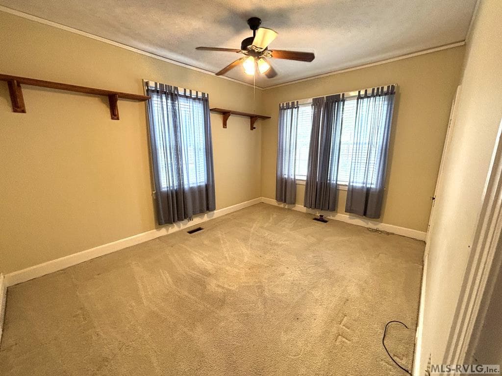 1117 Hamilton Street, Roanoke Rapids NC 27870 photo 19