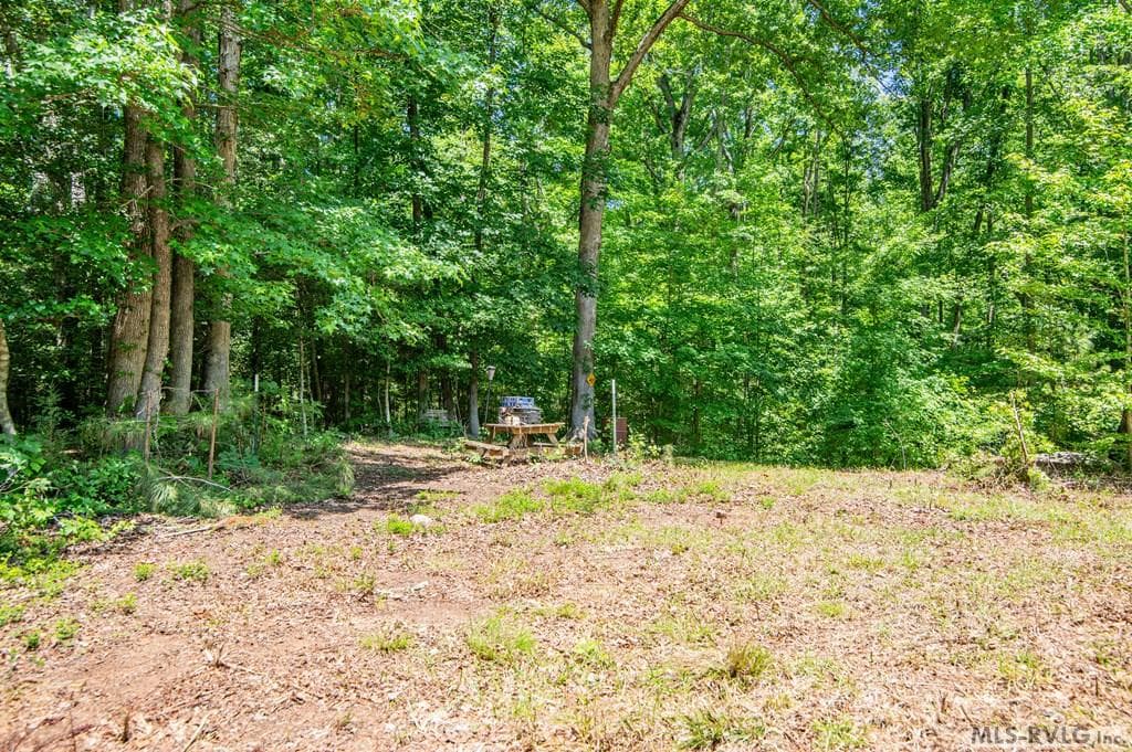 18858 Justice Branch Road, Littleton NC 27850 photo 22