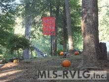 18858 Justice Branch Road, Littleton NC 27850 photo 67