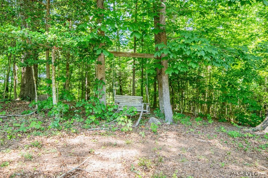 18858 Justice Branch Road, Littleton NC 27850 photo 9