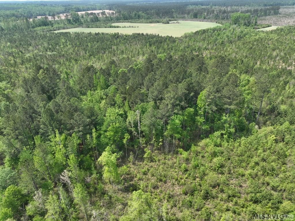 000 Jones Mill Rd, Emporia VA 23847 photo 46