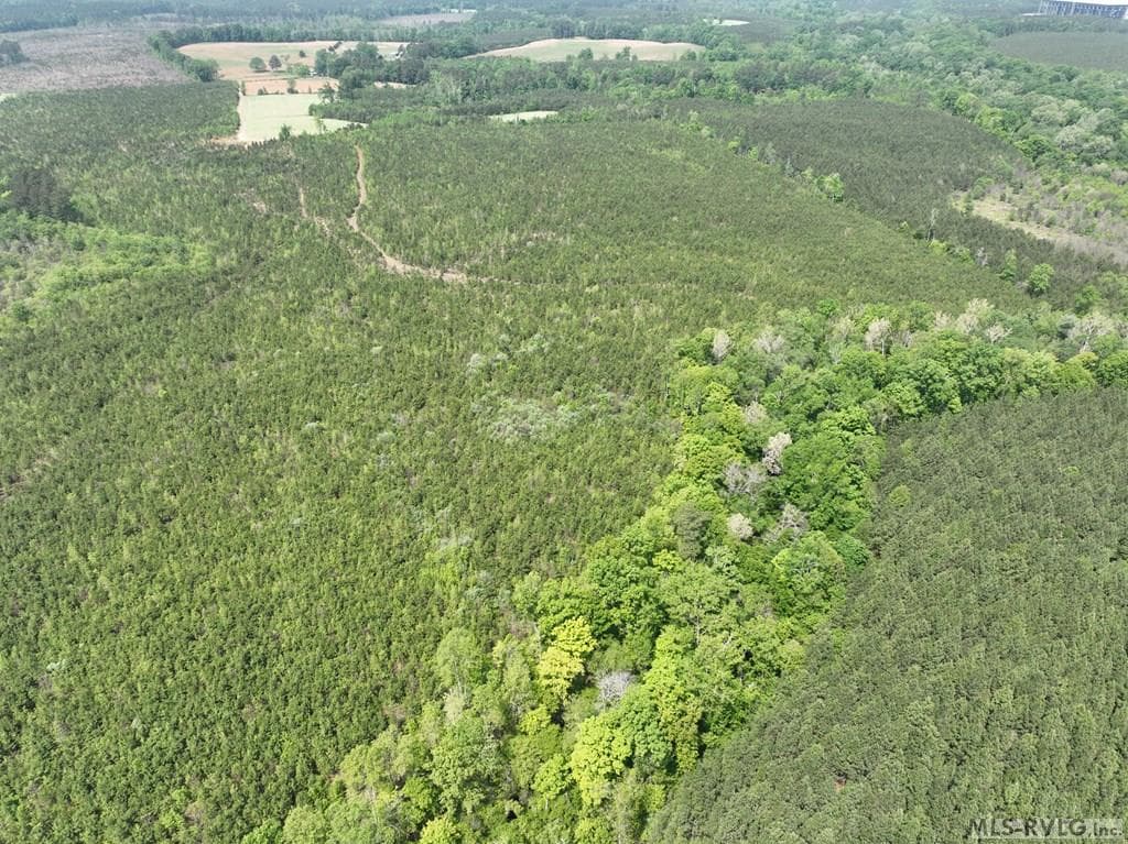 000 Jones Mill Rd, Emporia VA 23847 photo 13
