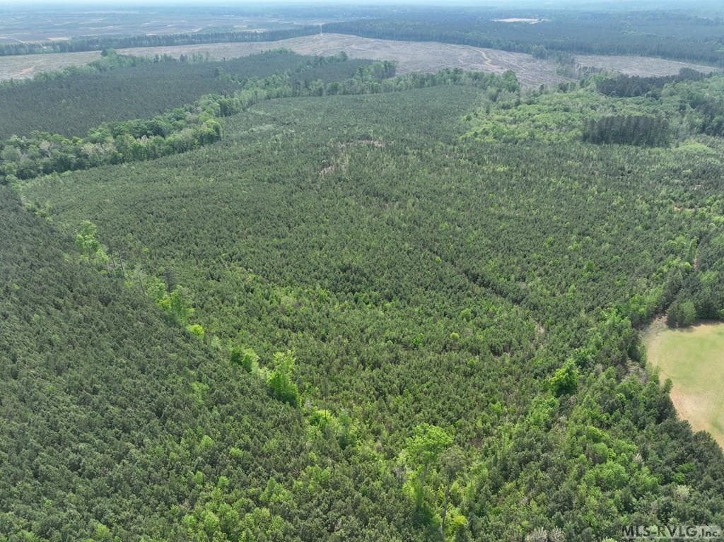 000 Jones Mill Rd, Emporia VA 23847 photo 17