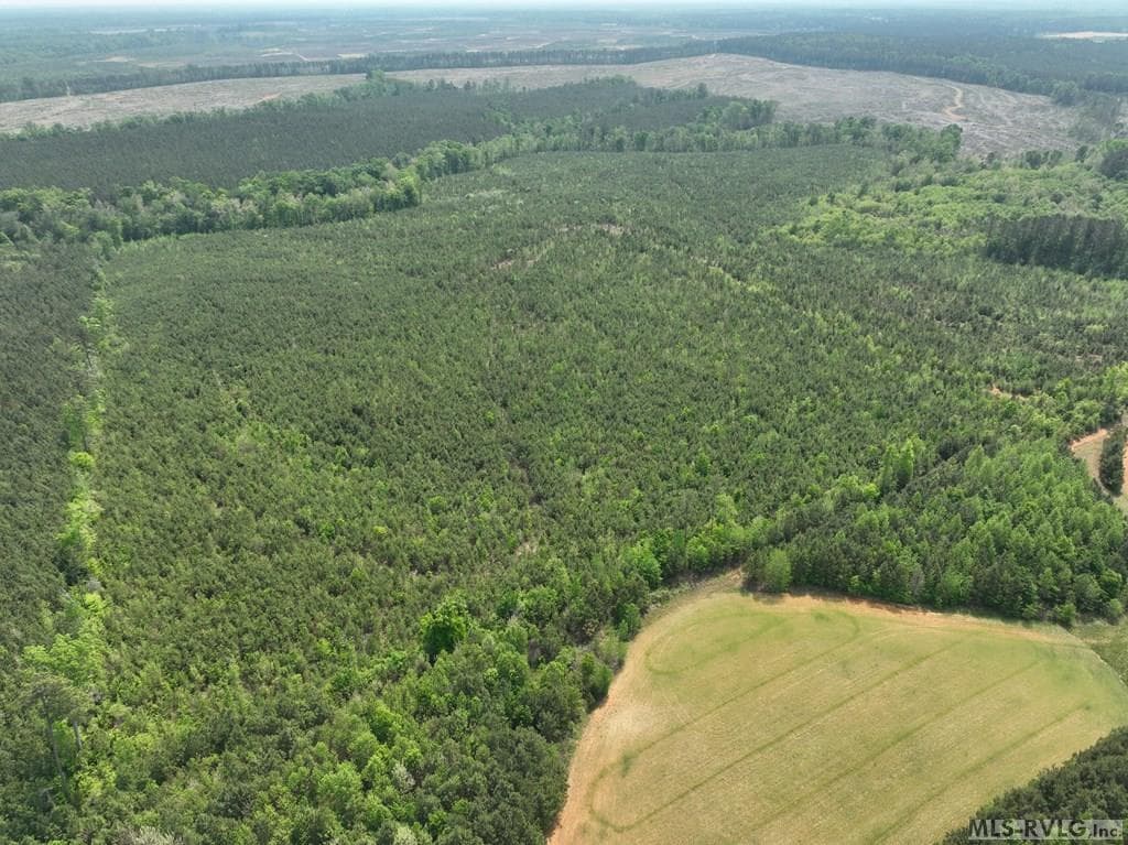 000 Jones Mill Rd, Emporia VA 23847 photo 26
