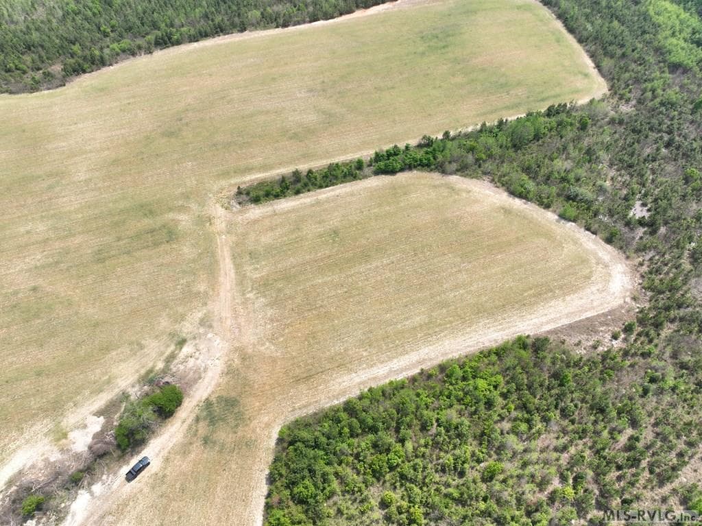 000 Jones Mill Rd, Emporia VA 23847 photo 34