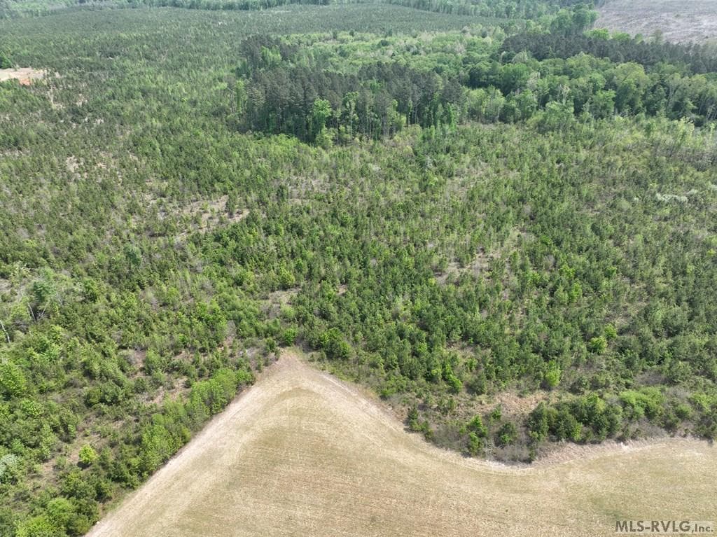 000 Jones Mill Rd, Emporia VA 23847 photo 37