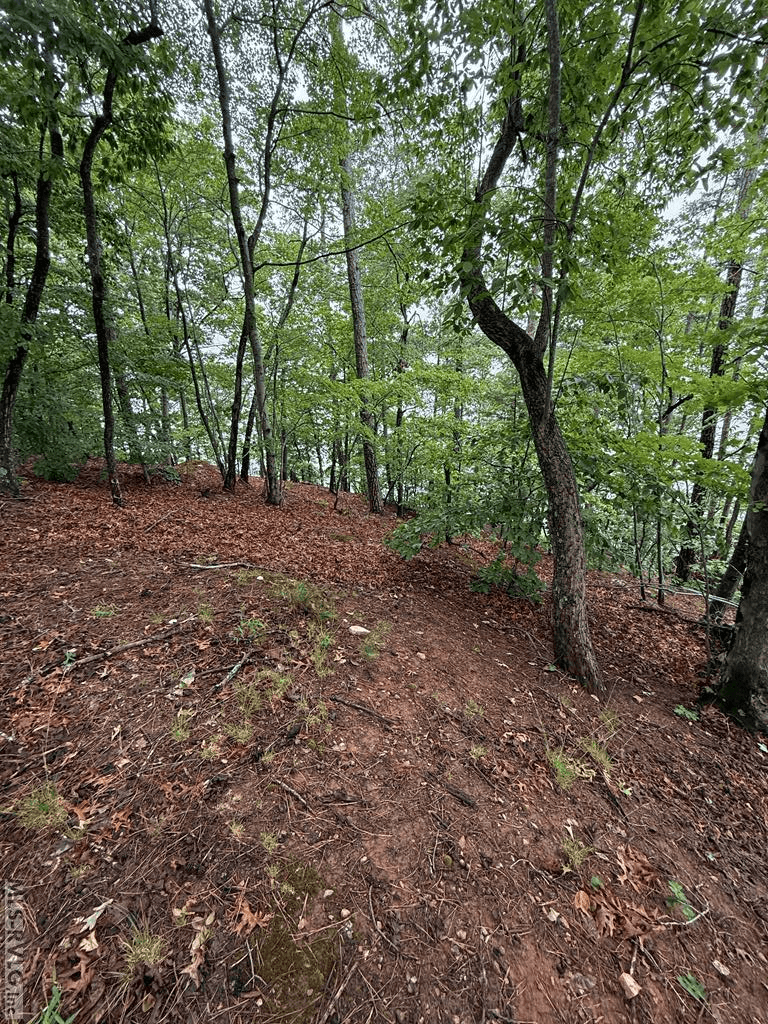 0 Edwards Ridge Rd., Littleton NC 27850 photo 17