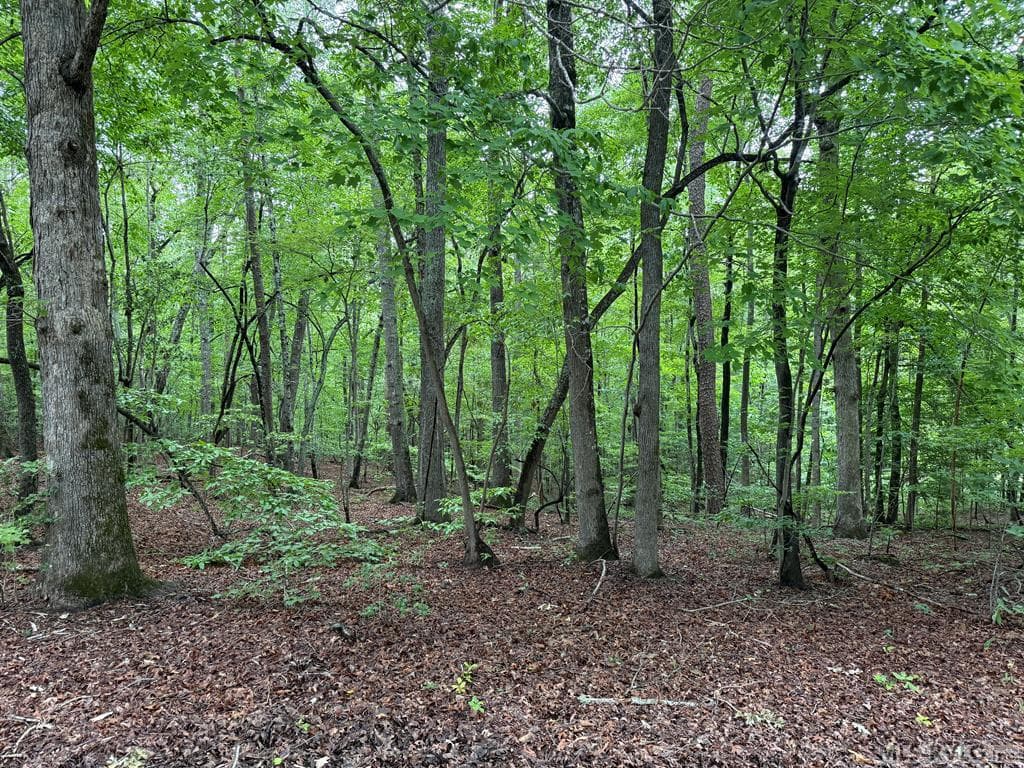 Residential Lot-Restricted,Unimproved Land at 3 Sir Peyton Drive, Clarksville VA 23927, Clarksville, photo 2 of 8