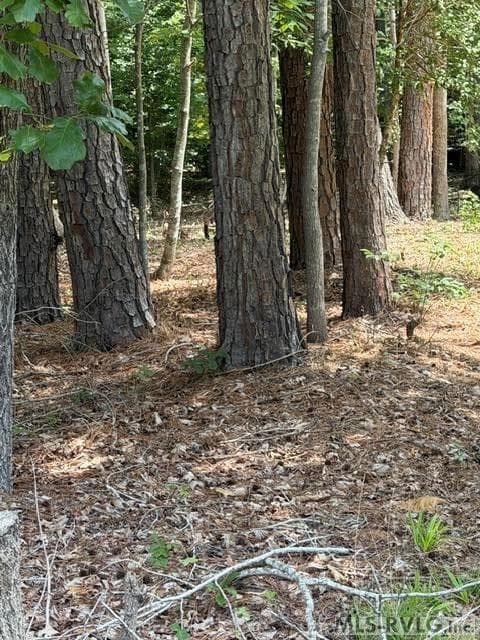 Acreage,Residential Lot-Unrestricted,Unimproved Land at 000 Canvas Back Ct., Valentines VA 23887, Valentines, photo 13 of 21