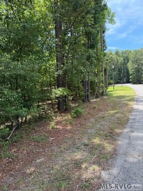 Acreage,Residential Lot-Unrestricted,Unimproved Land at 000 Canvas Back Ct., Valentines VA 23887, Valentines, photo 17 of 21