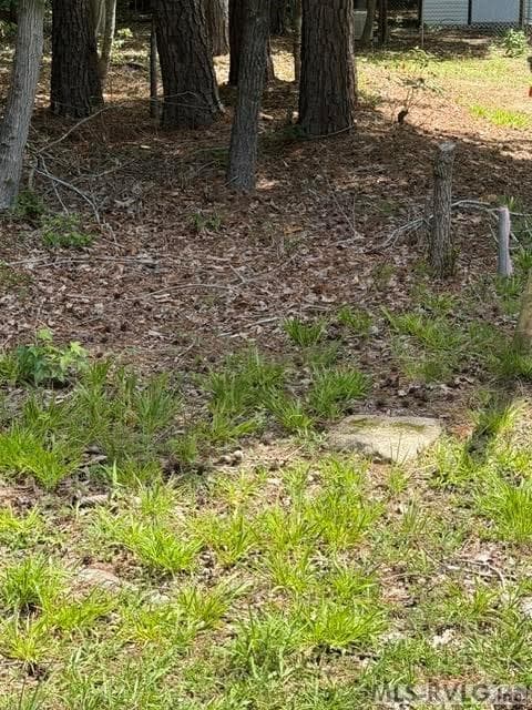 Acreage,Residential Lot-Unrestricted,Unimproved Land at 000 Canvas Back Ct., Valentines VA 23887, Valentines, photo 16 of 21