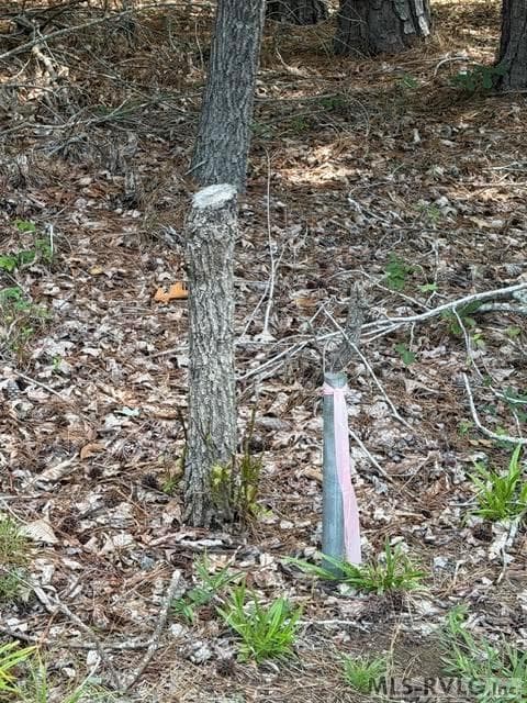 Acreage,Residential Lot-Unrestricted,Unimproved Land at 000 Canvas Back Ct., Valentines VA 23887, Valentines, photo 12 of 21